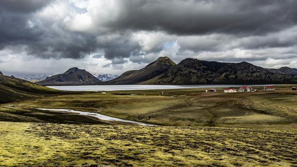 Évitez les arnaques : choisissez l'assurance santé en toute sécurité