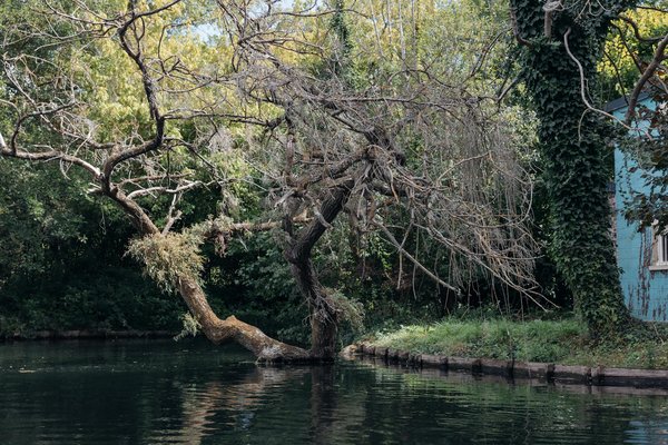 Retrouvez votre bien-être avec yoga paris 12 : les cours adaptés