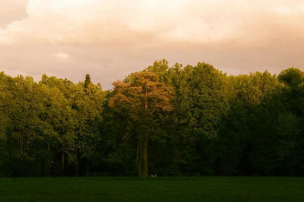 Astuces pour trouver un vtt électrique occasion parfait