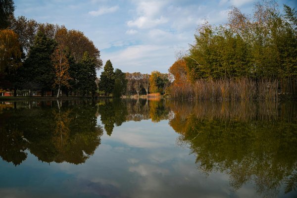 Le métier de dentiste au québec : au cœur d'un service de qualité