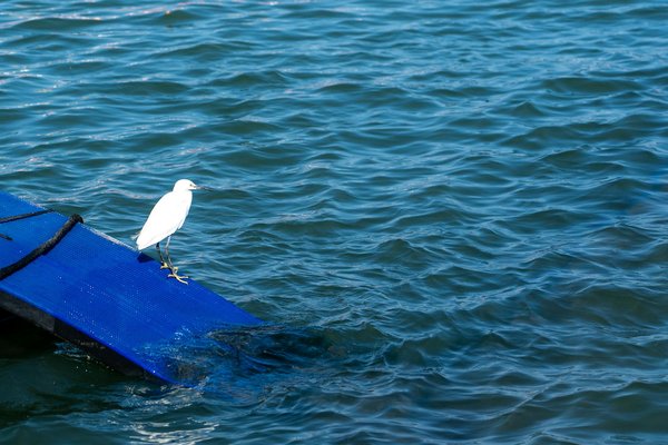 Des soins à domicile de qualité avec alexandre nicole à montigny
