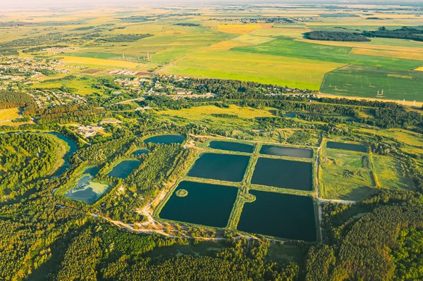 Massage à nancy : découvrez le bien-être avec cocon précieux
