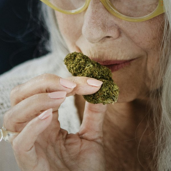 Cbd seniors : intégrer le chanvre dans votre routine quotidienne